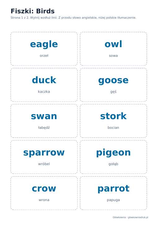 Angielski: Birds, fiszki do wycięcia