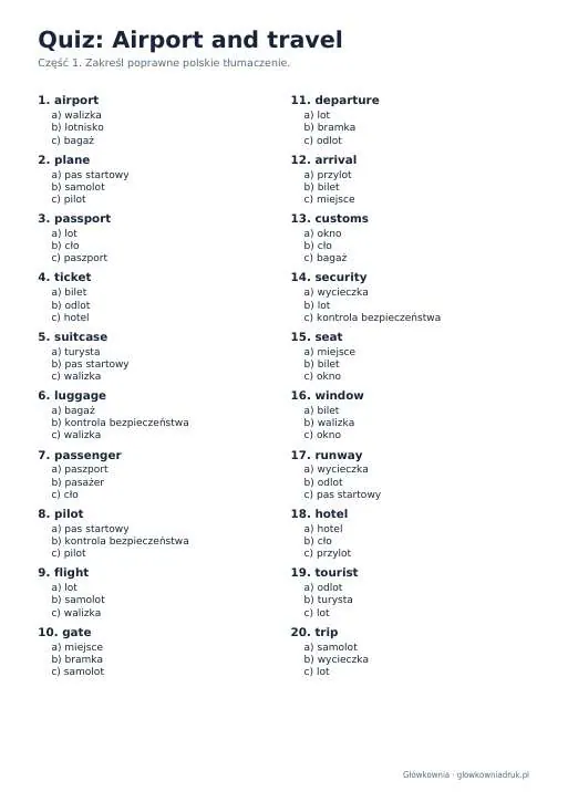 Podgląd: Angielski: quiz ze słówek, Airport and travel