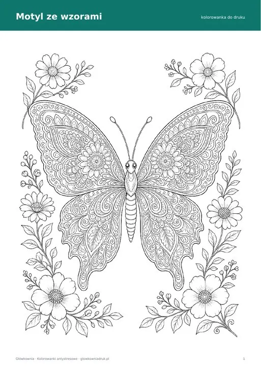 Kolorowanka antystresowa motyl