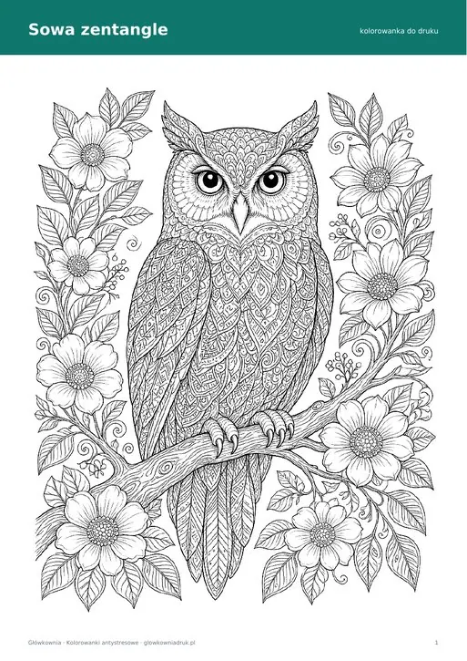 Kolorowanka antystresowa sowa – zentangle