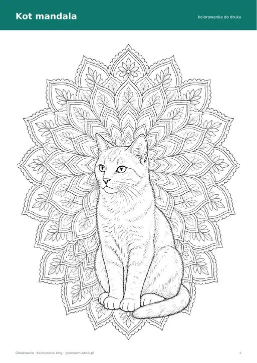 Kolorowanka kot mandala – dla starszych
