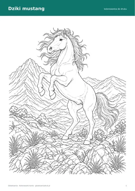 Kolorowanka mustang – dziki koń w górach