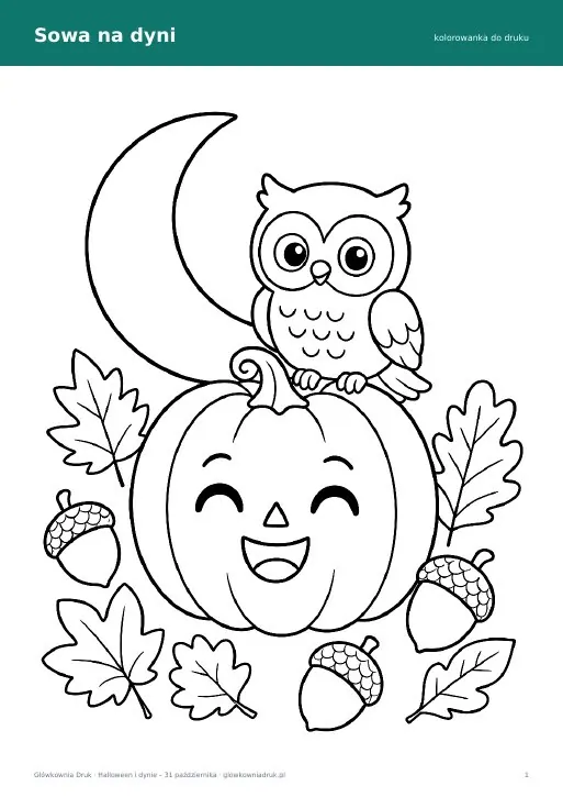 Kolorowanka sowa na dyni – jesień i Halloween