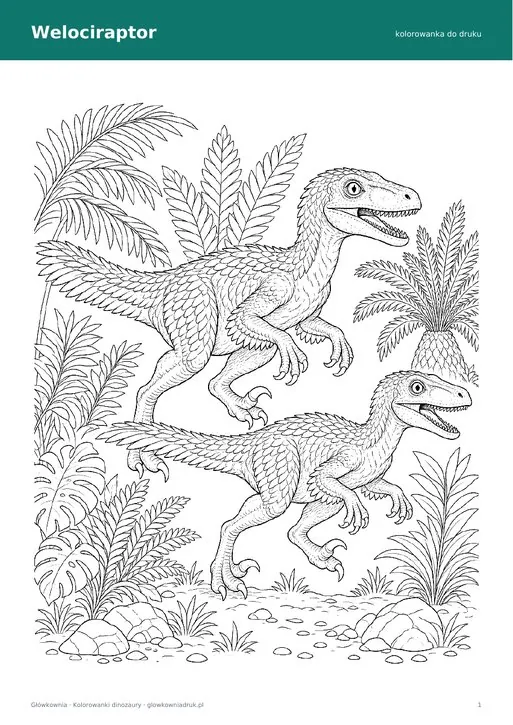 Kolorowanka welociraptor do druku
